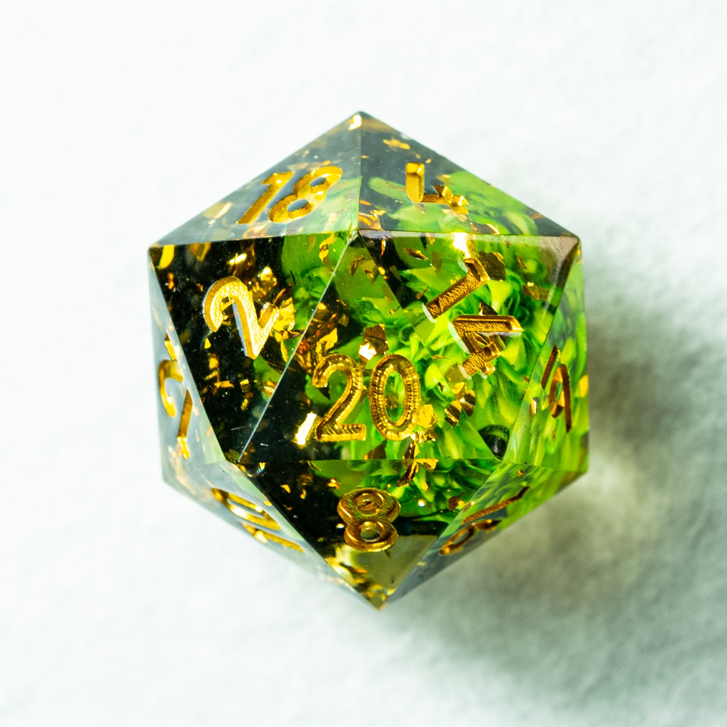 Photo de d20 de Mangrove