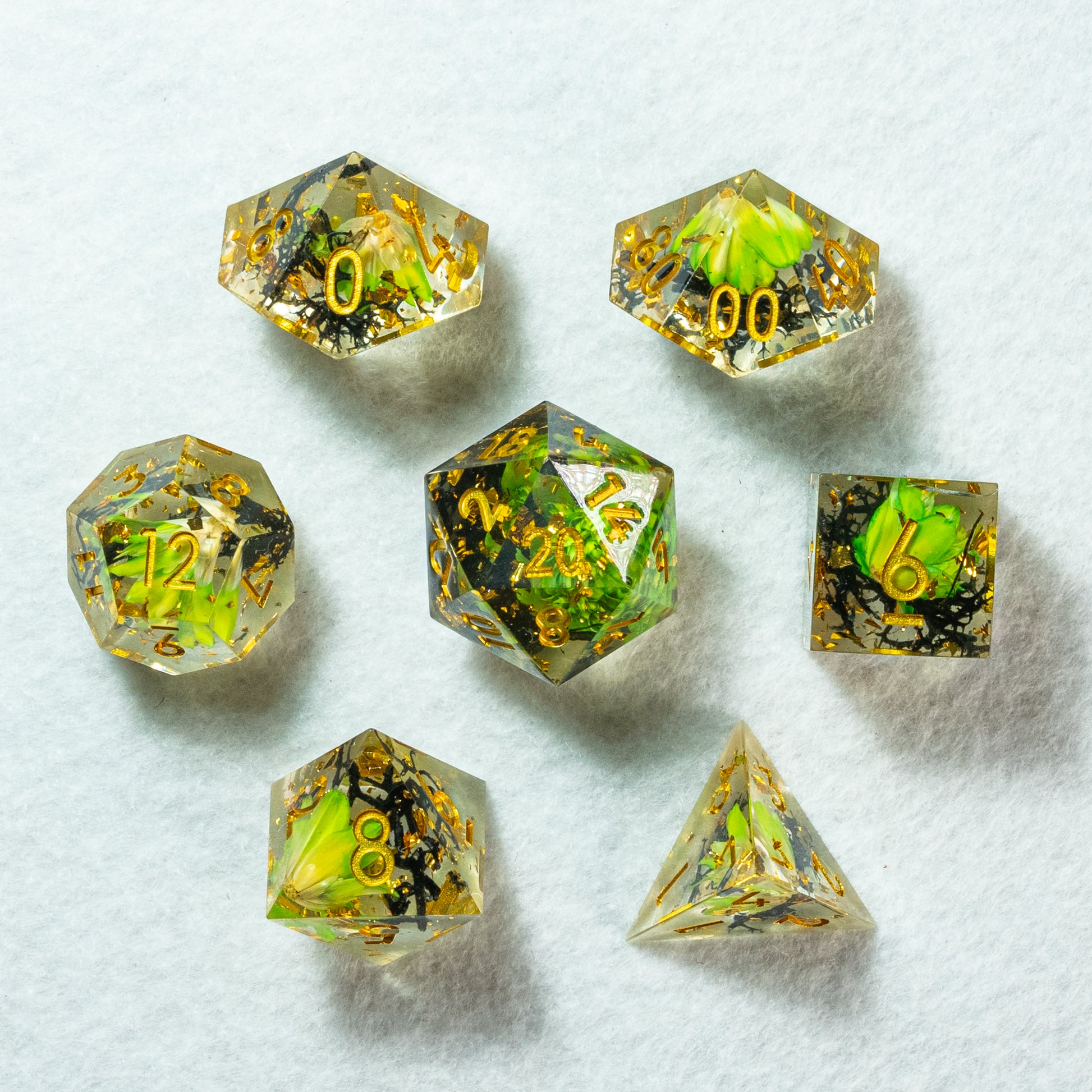 Photo de tous les dés de Mangrove